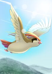 absurdres bird black_eyes bright_pupils closed_mouth commentary_request day flying full_body gen_1_pokemon highres lens_flare nintendo no_humans outdoors pidgeot pokemon pokemon_(creature) pokemon_focus sky solo tkc_(user_snjd8547) white_pupils