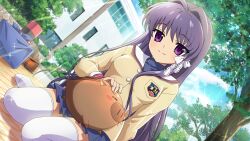 Rule 34 | 1girl, animal, artist request, blue sky, boar, botan (clannad), brown jacket, brown shoes, building, clannad, cloud, crossover, fujibayashi kyou, game cg, hair ribbon, highres, higurashi no naku koro ni, higurashi no naku koro ni mei, hikarizaka private high school uniform, jacket, long hair, long sleeves, looking at viewer, non-web source, official art, outdoors, petting, purple eyes, purple hair, ribbon, school uniform, shoes, sky, smile, sparkle, thighhighs, tree, white ribbon, white thighhighs, wrapped bento