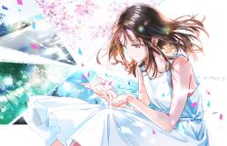 1girl bare_shoulders brown_eyes brown_hair cherry_blossoms collarbone dress flower hands_up knees_up long_hair looking_down ocean original petals pink_flower sitting sleeveless sleeveless_dress smile solo tiv tree water white_dress