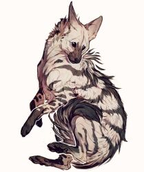 Rule 34 | aardwolf, animal, animal focus, giulialibard, highres, hyena, no humans, original, pawpads, realistic, simple background, snout, solo, striped fur, white background