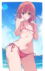 Rule 34 | 1girl, bikini, blue sky, blush, border, braid, breasts, brown hair, cloud, commentary request, day, e20, kanojo okarishimasu, looking at viewer, medium breasts, navel, ocean, outside border, pink bikini, pink eyes, sakurasawa sumi, second-party source, side-tie bikini bottom, sky, solo, standing, stomach, swimsuit, thighs, white border