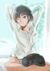 1girl amagami animal animal_on_lap arms_behind_head arms_up black_cat black_eyes blush bottomless brown_eyes cat cat_on_lap collarbone commentary crossed_legs dress_shirt female_focus hair_strand indian_style messy_hair murasaki_iro nanasaki_ai on_lap one_eye_closed parted_lips pocket puu_(amagami) see-through_silhouette shirt short_hair sitting solo stretching white_shirt