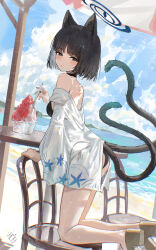 1girl absurdres animal_ears beach bikini black_bikini black_choker black_hair black_tail blue_archive blue_halo blue_sky cat_ears cat_girl chair choker day food grey_eyes halo haori hidulume highres holding holding_spoon japanese_clothes kikyou_(blue_archive) kikyou_(swimsuit)_(blue_archive) kneeling looking_at_viewer multiple_tails ocean on_chair outdoors sand shaved_ice short_hair sky solo spoon swimsuit tail two_tails white_haori