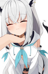 Rule 34 | 1girl, 1other, animal ear piercing, animal ears, aqua neckerchief, blush, braid, closed eyes, closed mouth, detached sleeves, fox ears, fox girl, fox tail, front slit, hand on another&#039;s chin, highres, hololive, kurushiro1102, long sleeves, neckerchief, pov, pov hands, scratching chin, shirakami fubuki, shirakami fubuki (1st costume), simple background, smile, tail, virtual youtuber, white background, white hair