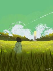 Rule 34 | 1girl, absurdres, black hair, bob cut, cloud, cloudy sky, coat, contrail, crossed arms, field, flower, flower field, forest, from behind, fruiitlins, grass, green theme, highres, meadow, medium hair, nature, obelisk, original, sky, solo, upper body, white coat