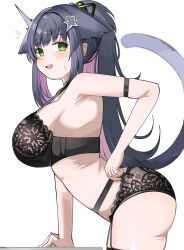 1girl absurdres animal_ears arknights arm_strap black_bra black_panties blush bra breasts cat_ears cat_girl cat_tail green_eyes hair_ornament highres jessica_(arknights) jessica_the_liberated_(arknights) large_breasts lingerie long_hair looking_at_viewer open_mouth panties ponytail simple_background solo spam_(spamham4506) tail underwear underwear_only white_background