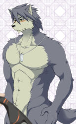 1boy abs animal_ears bara black_male_swimwear blush bulge closed_mouth commentary_request convenient_censoring disembodied_hand dog_boy dog_ears dog_tags dog_tail furry furry_male ig1119 jewelry kouya_aotsuki looking_to_the_side male_focus male_swimwear morenatsu muscular muscular_male navel necklace nipples pectorals swim_briefs tail unworn_male_swimwear