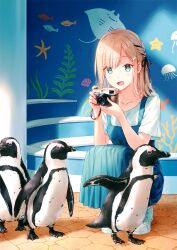 1girl :d animal bird black_ribbon blonde_hair blue_dress blue_eyes blue_shirt braid camera cobblestone collarbone dress eyes_visible_through_hair hair_ribbon hashimoto_sana highres hiten_(hitenkei) holding holding_camera jellyfish long_dress long_hair looking_at_animal open_mouth original penguin pinafore_dress pleated_dress ribbon ribbon_braid shirt shoes short_sleeves single_braid sleeveless sleeveless_dress smile solo squatting star_(symbol) starfish stingray taking_picture white_shirt white_shoes
