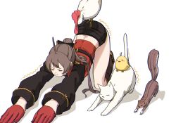 &gt;_&lt; 1girl ahoge aiguillette all_fours animal asymmetrical_footwear azur_lane baby_animal belt bird black_belt black_jacket black_shorts boots bow brown_hair cat chick chicken closed_eyes closed_mouth cropped_jacket cross-laced_clothes gloves hair_bow half_gloves hatski.sin high_ponytail highres jacket jean_bart_(azur_lane) long_hair long_sleeves manjuu_(azur_lane) midriff mismatched_footwear o-ring ponytail red_gloves shadow short_shorts shorts sidelocks simple_background sleeve_cuffs solo stretching striped_clothes striped_thighhighs thighhighs thighs top-down_bottom-up trembling vertical-striped_clothes vertical-striped_thighhighs white_background white_cat