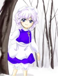 1girl apron bare_tree bloomers blue_eyes blue_skirt blue_vest closed_mouth commentary_request hat lapel_pin letty_whiterock long_sleeves lowres medinki no_nose official_style outdoors purple_hair short_hair skirt skirt_set smile snow solo standing touhou tree underwear vest waist_apron white_apron white_bloomers white_hat winter zun_(style)