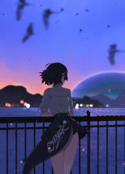 absurdres ellen_joe ellen_joe_(on_campus) evening fins fish_tail from_behind guard_rail highres medium_hair midfinger official_alternate_costume pleated_skirt purple_sky shark_girl shark_tail shirt skirt sky tail white_shirt zenless_zone_zero