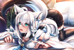 1girl absurdres ahoge all_fours animal_ear_fluff animal_ears black_bow black_shorts black_thighhighs blue_neckerchief blush bow braid commentary_request detached_sleeves earrings fox_ears fox_girl fox_shadow_puppet fox_tail green_eyes hair_between_eyes hair_bow highres hololive hood hoodie indoors jewelry kouichi_eiji long_hair neckerchief on_bed open_mouth pillow shirakami_fubuki shirakami_fubuki_(1st_costume) short_shorts shorts sidelocks single_braid single_thighhigh solo tail thighhighs virtual_youtuber wavy_mouth white_hair white_hoodie