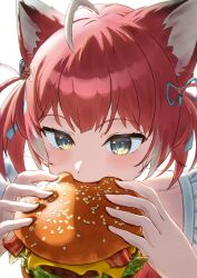 1girl absurdres ahoge akami_karubi animal_ears blue_eyes blue_ribbon burger cat_ears dress eating fast_food food hair_ribbon highres holding holding_food indie_virtual_youtuber kisaragi_edda multicolored_hair red_dress red_hair ribbon sesame_seeds short_hair short_twintails solo twintails virtual_youtuber yellow_eyes