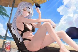 Rule 34 | 1girl, absurdres, alternate costume, beach, beach umbrella, bikini, bird, bird on hand, black bikini, black bird, blue sky, breasts, chair, day, highres, large breasts, long hair, lounge chair, malsuk, navel, ocean, sitting, sky, solo, stomach, swimsuit, umbrella, white hair, yellow eyes, yixuan (zenless zone zero), zenless zone zero