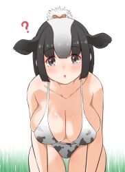 Rule 34 | 1girl, ?, animal ears, animal print, bikini, black hair, blush, bow, breasts, brown eyes, cow ears, cow girl, cow print, cow print bikini, esuyukichin, hair bow, hanging breasts, highres, holstein friesian cattle (kemono friends), kemono friends, large breasts, leaning forward, looking at viewer, multicolored hair, open mouth, print bikini, short hair, solo, swimsuit, two-tone hair, white hair