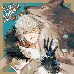 Rule 34 | 1boy, anniversary, araya (hachino araya), bags under eyes, fangs, fate/grand order, fate (series), fur-trimmed jacket, fur trim, gloves, grey hair, hair between eyes, highres, jacket, kadoc zemlupus, male focus, neck piercing, open mouth, short hair, solo, sweatdrop, upper body, wolf, yellow eyes