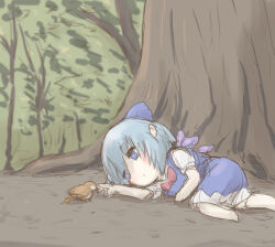 Rule 34 | 1girl, bird, blue bow, blue dress, blue eyes, blue hair, blush, bow, bowtie, cirno, closed mouth, commentary request, dress, eurasian tree sparrow, expressionless, forest, full body, hanemikakko, ice, ice wings, lying, nature, on ground, on side, outdoors, red bow, red bowtie, short hair, solo, sparrow, touhou, tree, wings