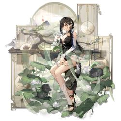 1girl animal arknights black_footwear black_hair black_one-piece_swimsuit blacknight_(arknights) blacknight_(summer_flower)_(arknights) blue_hair bonsai braid breasts casual_one-piece_swimsuit cleavage copyright_name detached_sleeves flower game_cg green_nails grey_background hand_up high_heels highres horns leaf lotus medium_breasts multicolored_hair nail_polish non-web_source one-piece_swimsuit plant pointy_ears simple_background sitting solo sprite streaked_hair swimsuit thigh_strap toenail_polish toenails transparent_background wenquangua white_flower white_sleeves yellow_eyes