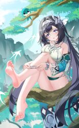 1girl absurdres aqua_bird aqua_sleeves bare_shoulders barefoot bird bird_hair_ornament black_hair blush breasts chinese_commentary collarbone commentary_request day detached_sleeves feet fingernails foot_focus genshin_impact hair_between_eyes hair_ornament hairband heart heart-shaped_pupils highres holding in_tree jndfh lan_yan_(genshin_impact) large_breasts long_hair looking_at_viewer open_mouth outdoors peanut_mouth pixiv_logo pixiv_username purple_eyes sitting sitting_in_tree sitting_on_branch soles solo symbol-shaped_pupils toes tree variant_set very_long_hair white_hairband