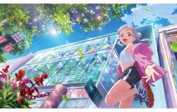 1girl arashi_chisato artbook black_shorts blue_sky building cloud day double_bun flower hair_bun highres hood jacket leaf long_hair looking_at_viewer love_live! love_live!_superstar!! midriff navel non-web_source official_art open_clothes open_mouth outdoors pink_jacket red_eyes shoes shorts sky smile sneakers solo sunlight tree white_hair