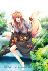00s 1girl animal_ears apple barefoot brown_hair fang female_focus food fruit holding holding_food holding_fruit holo long_hair niko niko_(azurite) red_eyes skirt_basket solo spice_and_wolf tail wolf_ears wolf_tail