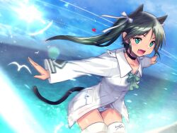 Rule 34 | 1girl, animal ears, bird, black hair, blue sky, bow, cat ears, cat girl, cat tail, collar, francesca lucchini, green bow, green eyes, heart, hirosegawa narumi, jacket, long hair, looking at viewer, military uniform, no pants, ocean, open mouth, outdoors, panties, ribbon, sky, solo, standing, strike witches, striker unit, striped clothes, striped panties, sun, tail, twintails, underwear, white jacket, white ribbon, world witches series