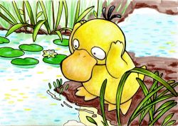 arms_up bird commentary duck ethanol80per gen_1_pokemon lily_pad nintendo no_humans outdoors plant pokemon pokemon_(creature) psyduck reflection reflective_water standing