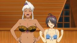 2girls ahoge akaza_chacha animal_print animated animated_gif black_hair blush bouncing_breasts bra breasts cleavage closed_eyes highres hitting large_breasts leopard_print long_hair maken-ki! maken-ki!_two multiple_girls open_mouth plaid_bra plaid_clothes ponytail satou_kimi short_hair silver_hair small_breasts smile takami_akio tight_clothes unconscious underwear xebec