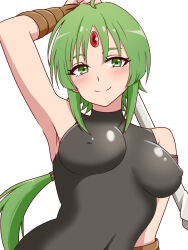 ahoge arm_wrap blush commentary covered_erect_nipples forehead_jewel green_eyes green_hair highres holding holding_polearm holding_weapon luicelia_superdia memejiban mushoku_tensei polearm ponytail weapon
