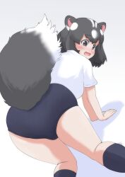 Rule 34 | 1girl, :d, all fours, animal ears, ass, black eyes, black hair, black socks, blue buruma, blush, breasts, buruma, commentary request, dutch angle, etobiuo, fang, feet out of frame, from behind, gym uniform, highres, kemono friends, large breasts, looking at viewer, looking back, multicolored hair, open mouth, shadow, shirt, short hair, short sleeves, signature, simple background, skin fang, skunk ears, skunk girl, skunk tail, smile, socks, solo, spotted skunk (kemono friends), tail, white background, white hair, white shirt
