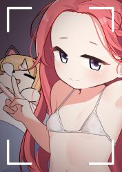 2girls :&gt; absurdres animal_ear_headphones animal_ears bare_arms bare_shoulders bikini blanket blonde_hair blue_archive blush braid breasts cat_ear_headphones cat_ears chinese_commentary closed_eyes closed_mouth commentary covered_erect_nipples fake_animal_ears forehead hand_up headphones highres loli long_hair looking_at_viewer micro_bikini momoi_(blue_archive) multiple_girls no_nose nose_bubble open_mouth parted_bangs platinum-mix purple_eyes red_hair selfie single_braid sleeping small_breasts smile split_mouth swimsuit upper_body v viewfinder white_bikini yuzu_(blue_archive)