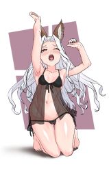 1girl animal_ears arms_up babydoll black_babydoll black_panties blush breasts erune full_body granblue_fantasy kneeling long_hair navel open_mouth panties red_eyes scathacha_(granblue_fantasy) side-tie_panties small_breasts solo underwear variant_set white_hair yawning yggsil