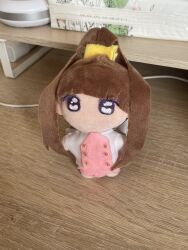 Rule 34 | amano nene (digimon xros wars), black sclera, brown hair, colored sclera, digimon, digimon xros wars, hair ornament, hairpin, highres, long hair, looking at viewer, no pupils, photo (medium), real life, standing, stuffed toy, zuhana