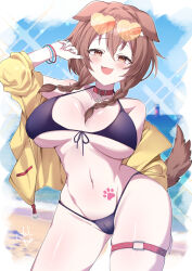 Rule 34 | absurdres, animal ears, beach, bikini, black bikini, blurry, blurry background, braid, breasts, brown eyes, brown hair, brown tail, cameltoe, cowboy shot, dog ears, dog girl, dog tail, highres, hololive, huge breasts, inugami korone, jacket, ocean, sand, swimsuit, tail, todalbok106, twin braids, virtual youtuber, watermb, yellow jacket