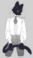 1boy animal_hands babeldj black_fur body_fur brown_eyes cat_boy claws commentary_request cowboy_shot cropped_legs furry furry_male grey_background high-waist_pants holding_own_tail long_sleeves looking_at_viewer male_focus original pants puffy_long_sleeves puffy_sleeves shirt simple_background solo tail whiskers white_shirt