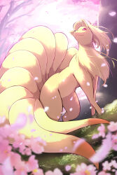 cherry_blossoms gen_1_pokemon grass highres looking_up ninetales nintendo no_humans outdoors pink_petals pokemon pokemon_(creature) red_eyes rumine_(yoshi1234567) solo tree white_fur
