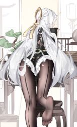 1girl absurdres ass black_jacket black_pantyhose bonsai commentary_request feet from_behind grey_hair highres jacket leaning_forward long_hair no_shoes official_alternate_costume pantyhose skirt soles solo toes very_long_hair voi_271 white_skirt yi_xuan_(trails_of_ink)_(zenless_zone_zero) yi_xuan_(zenless_zone_zero) zenless_zone_zero
