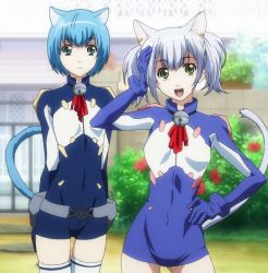 2girls :d animal_ears anime_screenshot arms_behind_back asobi_ni_iku_yo! bell belt belt_pouch belt_skirt blue_eyes blue_hair bracer breasts brick_wall bush cat_ears cat_tail chaika covered_navel cowboy_shot day earrings extra_ears flower gate gloves green_eyes hand_on_own_head hand_on_own_hip highres jewelry jingle_bell light_smile looking_at_viewer melwin multiple_girls open_mouth pouch short_hair short_twintails silver_hair small_breasts smile stitched tail thigh_gap thighhighs third-party_edit twintails unitard white_legwear