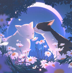 animal animal_focus blurry bug butterfly cat closed_eyes flower grass huhv. insect moon night night_sky no_humans original outdoors pink_flower sky star_(sky) starry_sky whiskers white_cat white_flower
