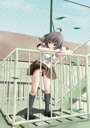 Rule 34 | 1girl, ahoge, arm rest, black hair, black shoes, black socks, brown eyes, convenient censoring, exhibitionism, female focus, full body, grey skirt, guard rail, kneehighs, leaf, leaf censor, loafers, no panties, original, outdoors, parted lips, pleated skirt, public indecency, school uniform, serafuku, shirt, shoes, short hair, short sleeves, skirt, socks, solo, stairs, stairwell, standing, takapi (chimee house), thighs, white shirt, wind, wind lift