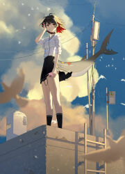 1girl absurdres bird black_hair black_skirt blue_sky breasts candy choker cloud colored_inner_hair commentary dress_shirt earbuds earphones ellen_joe ellen_joe_(on_campus) evening fins fish_tail food hand_on_own_head highres holding holding_phone korean_commentary ladder lollipop lollipop_in_mouth midfinger multicolored_hair official_alternate_costume on_roof phone pleated_skirt power_lines red_eyes red_hair rooftop school_uniform shark_girl shark_tail shirt short_hair skirt sky socks solo tail traffic_light urban water_tank white_bird zenless_zone_zero