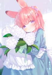 1girl animal_ears apron blue_dress blush dress flower highres holding holding_flower looking_at_viewer mutou_mato original pink_hair purple_eyes rabbit_ears smile solo white_flower
