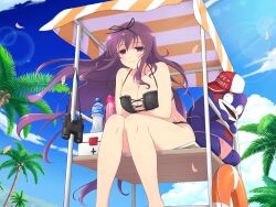 Rule 34 | 1girl, bebe-tan, bikini, binoculars, black bikini, black ribbon, blush, bottle, breast hold, breasts, chair, cleavage, coconut, coconut tree, collarbone, day, falling petals, first aid kit, floating hair, frilled bikini, frills, hair ribbon, hat, highres, innertube, large breasts, lens flare, lifeguard, lifeguard chair, long hair, looking at viewer, murasaki (senran kagura), official art, outdoors, palm leaf, palm tree, petals, pink bikini, purple eyes, purple hair, ribbon, senran kagura, senran kagura estival versus, senran kagura new link, senran kagura shinovi versus, sitting, sky, smile, solo, stuffed animal, stuffed toy, swim ring, swimsuit, teddy bear, tree, very long hair, water bottle, yaegashi nan