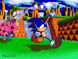 1boy animal_ears basket black_eyes blue_fur flower full_body furry furry_male gloves highres holding male_focus palmtree_panic pepijuan red_shoes running shoes smile solo sonic_(series) sonic_the_hedgehog
