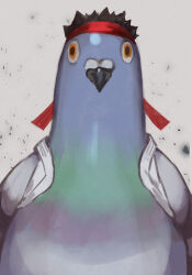 1boy animalization bird black_hair dougi grey_background grey_bird headband hungry_clicker looking_at_viewer nintendo orange_eyes pigeon red_headband ryu_(street_fighter) short_hair solo spiked_hair straight-on street_fighter super_smash_bros. upper_body