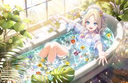 1girl :d \||/ bathtub blonde_hair blue_flower blue_hair blush breasts brown_sandals candle caustics cleavage collarbone curtained_hair day earrings fang flower flower_earrings full_body game_cg half_updo halterneck her-bath-rium highres in_bathtub indoors jewelry knees_up link!_like!_love_live! long_hair looking_at_viewer love_live! non-web_source official_alternate_costume official_art one-piece_swimsuit open_hand open_mouth osawa_rurino outstretched_arms parted_bangs partially_submerged pink_flower plant potted_plant purple_flower reclining red_flower sandals small_breasts smile solo swimsuit unworn_sandals virtual_youtuber wavy_hair white_one-piece_swimsuit window_shadow yellow_flower