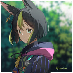 1boy animal_ear_fluff animal_ears black_hair black_hood blurry blurry_background border brown_eyes commentary drawstring flower fox_boy fox_ears genshin_impact green_eyes green_hair hair_between_eyes hood hood_down kaxukin looking_at_viewer male_focus medium_hair multicolored_eyes multicolored_hair outside_border parted_lips solo streaked_hair tighnari_(genshin_impact) twitter_username two-tone_eyes upper_body white_border yellow_flower