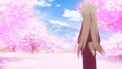 animal_ears anime_screenshot calm cherry_blossoms day fox_ears furry furry_female konohana_kitan scenery sky solo yuzu_(konohana_kitan)