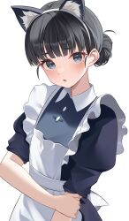 1girl absurdres animal_ears apron basori_tiara black_dress black_hair blue_eyes blush breasts cat_ears dress fake_animal_ears frilled_apron frills highres holding_own_arm kenomotsu_yukuwa looking_at_viewer maid make_heroine_ga_oo_sugiru! puffy_short_sleeves puffy_sleeves short_sleeves simple_background small_breasts solo white_apron white_background