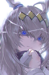2girls ahoge backlighting blue_eyes blue_jacket closed_mouth clothes_grab commentary ear_ornament frown glaring hair_ornament highres horse_girl jacket kasamatsu_tracen_training_uniform messy_hair multiple_girls norn_ace_(umamusume) oguri_cap_(umamusume) pov simple_background umamusume umamusume:_cinderella_gray white_background xleontan
